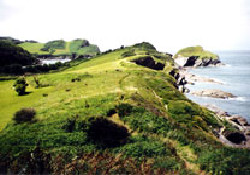 Picture of Watermouth Cove Holiday Park, Devon