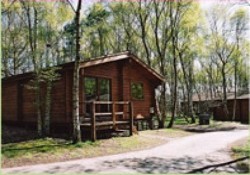 Picture of Sherwood Castle Holiday Forest, Nottinghamshire Picture of Sherwood Castle Holiday Forest, Nottinghamshire