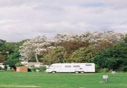 Touring field