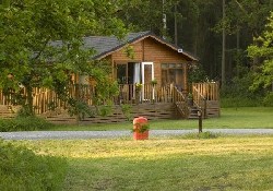 Picture of Hollicarrs Holiday Park, North Yorkshire Picture of Hollicarrs Holiday Park, North Yorkshire