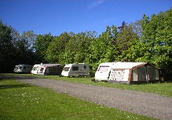 Picture of Scotch Corner Caravan Park, North Yorkshire Picture of Scotch Corner Caravan Park, North Yorkshire