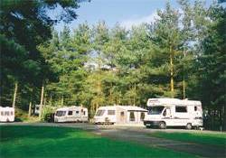 Picture of Blackwall Plantation Caravan Club Site, Derbyshire