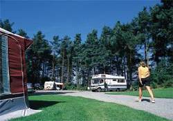Picture of Blackwall Plantation Caravan Club Site, Derbyshire