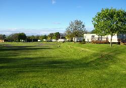 Picture of Riverside Country Park, Northumberland