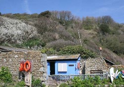 Picture of Castlehaven Caravan Site, Isle of Wight Picture of Castlehaven Caravan Site, Isle of Wight