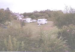 Picture of Black Lion Caravan & Camping Park, Carmarthenshire Picture of Black Lion Caravan & Camping Park, Carmarthenshire