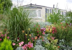 Picture of Southfork Caravan Park, Somerset Picture of Southfork Caravan Park, Somerset