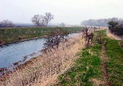 Windmill Nature