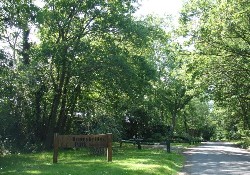 Picture of Honeybridge Park, West Sussex Picture of Honeybridge Park, West Sussex