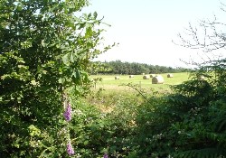 Picture of Honeybridge Park, West Sussex Picture of Honeybridge Park, West Sussex