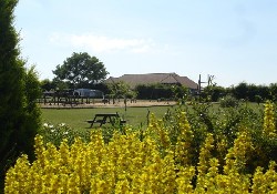Picture of Honeybridge Park, West Sussex Picture of Honeybridge Park, West Sussex