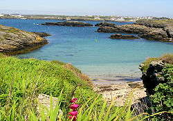 Picture of Bagnol Caravan Park, Isle of Anglesey