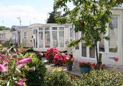 Picture of Silver Birch Caravan Park, Flintshire Picture of Silver Birch Caravan Park, Flintshire