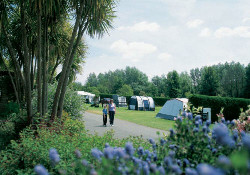 Picture of Adgestone Camping and Caravanning Club Site, Isle of Wight
