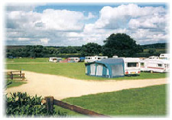 Picture of Red Shoot Camping Park, Hampshire, South East England Picture of Red Shoot Camping Park, Hampshire, South East England