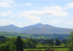 Picture of Bishops Meadow Caravan Park, Powys Picture of Bishops Meadow Caravan Park, Powys