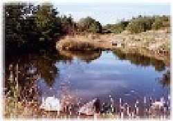 Lake Lake