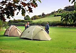 Picture of Pencelli Castle Caravan & Camp Park, Powys Picture of Pencelli Castle Caravan & Camp Park, Powys