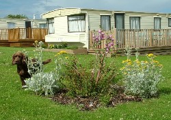 Picture of Dronwy Caravan Park, Isle of Anglesey Picture of Dronwy Caravan Park, Isle of Anglesey