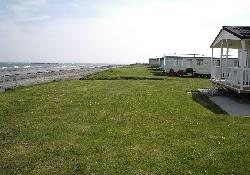 Picture of Sandycove Holiday Park, Down Picture of Sandycove Holiday Park, Down