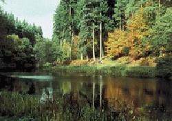Picture of Christchurch Camping And Caravan Site, Gloucestershire