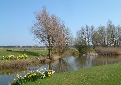 Picture of Fairfields Farm Caravan & Camping Park, East Sussex Picture of Fairfields Farm Caravan & Camping Park, East Sussex