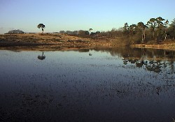 Picture of Old Down Touring Park, Somerset Picture of Old Down Touring Park, Somerset