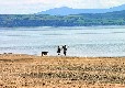 Picture of Luce Bay Holiday Park, Dumfries & Galloway