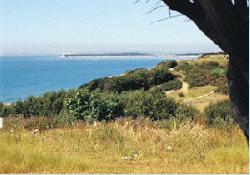 Picture of Hoburne Naish, Hampshire
