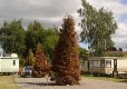 Picture of Beech Hedge Caravan Park, Perth & Kinross