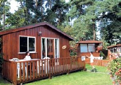 Picture of Lone Pine Lodge And Chalet Park, Dorset