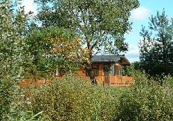 Picture of Homestead Lake Country Park, Essex Picture of Homestead Lake Country Park, Essex