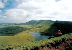 Picture of Erwlon Caravan & Camping, Carmarthenshire Picture of Erwlon Caravan & Camping, Carmarthenshire