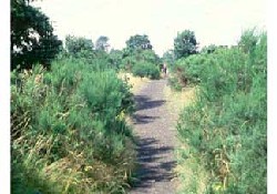 Picture of Happy Days Caravan Park, Essex Picture of Happy Days Caravan Park, Essex