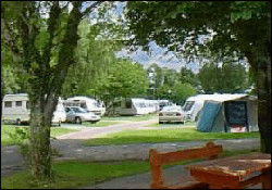 Picture of Fossa Caravan and Camping Park, Kerry Picture of Fossa Caravan and Camping Park, Kerry