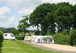 Picture of Pear Tree Touring Park, Dorset