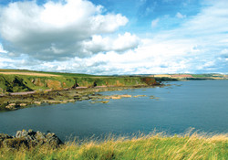 The breathtaking view from Eyemouth