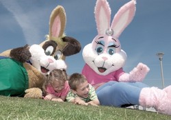 The kids will love Sparky's Krew kids' club at Naze Marine