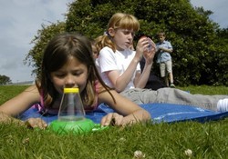 Bug watching with Sparky's Krew at Bideford Bay