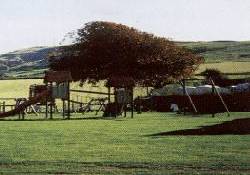 Picture of Heads Of Ayr Leisure Park, Ayrshire Picture of Heads Of Ayr Leisure Park, Ayrshire