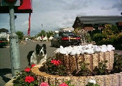 Picture of Pentre Mawr Caravan Park, Conwy Picture of Pentre Mawr Caravan Park, Conwy