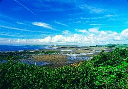 Picture of Whitecairn Farm Caravan Park, Dumfries & Galloway
