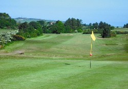 Picture of Whitecairn Farm Caravan Park, Dumfries & Galloway