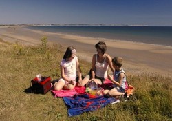 Enjoy a picnic on the nearby beach
