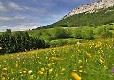 Picture of Au Joyeux Reveil, Isère