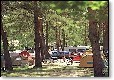 Picture of Camp Des Gorges Du Verdon - Sites & Paysages, Alpes-de-Haute-Provence