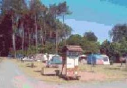 Picture of Aire Naturelle de Franc, Landes