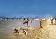 Picture of Aire Naturelle de Franc, Landes