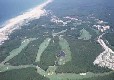 Picture of Aire Naturelle de Franc, Landes