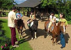 Picture of Camping de Chantepie - Sites & Paysages, Maine-et-Loire